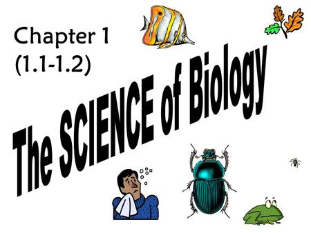 Chapter 1 (1.1-1.2) Before we delve into the world of BIOLOGY, we need to examine the question: What is a “FACT?” Something that can be proved or verified.