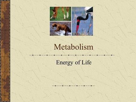 Metabolism Energy of Life. Metabolic Pathways Anabolic PathwaysCatabolic Pathways.