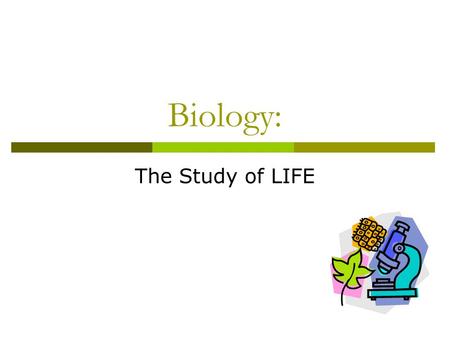 Biology: The Study of LIFE. What do these have in common? They are biology!!! Biology is the study of life!