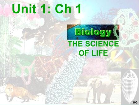 THE SCIENCE OF LIFE Unit 1: Ch 1 300. WHAT IS BIOLOGY??? (living & once living things)