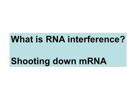 What is RNA interference?