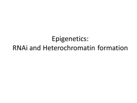 Epigenetics: RNAi and Heterochromatin formation