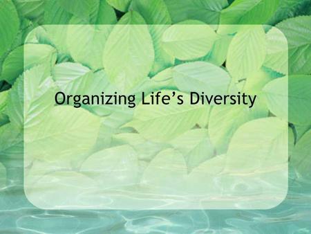 Organizing Life’s Diversity. Classification – the grouping of objects or information based on similarities. (ie. organizing your music collection)
