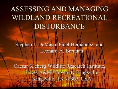 ASSESSING AND MANAGING WILDLAND RECREATIONAL DISTURBANCE Stephen J. DeMaso, Fidel Hernández, and Leonard A. Brennan Caesar Kleberg Wildlife Research Institute,