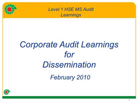 1 Corporate Audit Learnings for Dissemination February 2010 Level 1 HSE MS Audit Learnings.