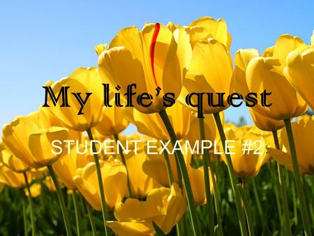 My life’s quest STUDENT EXAMPLE #2. Who am I? I am creative I am a perfectionist I am random I am caring I am goofy I am a competitive and active person.