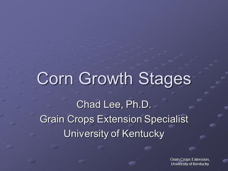 Corn Growth Stages Chad Lee, Ph.D. Grain Crops Extension Specialist
