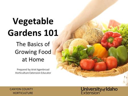 CANYON COUNTY HORTICULTURE Vegetable Gardens 101 The Basics of Growing Food at Home Prepared by Ariel Agenbroad Horticulture Extension Educator.