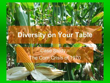 Diversity on Your Table Case Study – The Corn Crisis of 1970