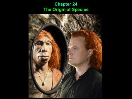 Chapter 24 The Origin of Species. Microevolution (you will remember from chapter 23) is … Chapter 24 The Origin of Species.