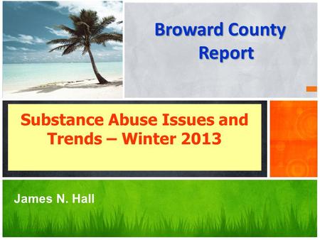 Broward County Report Substance Abuse Issues and Trends – Winter 2013 James N. Hall.