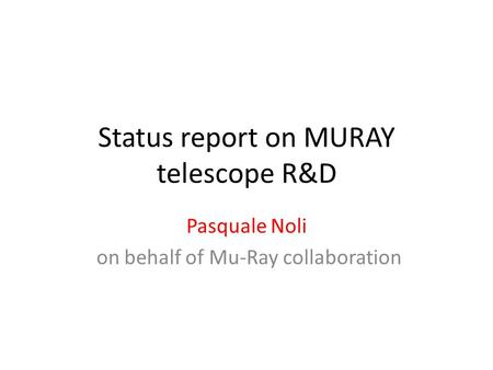 Status report on MURAY telescope R&D