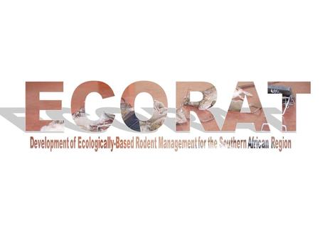 Ecologically-Based Rodent Management for the SADC Region.