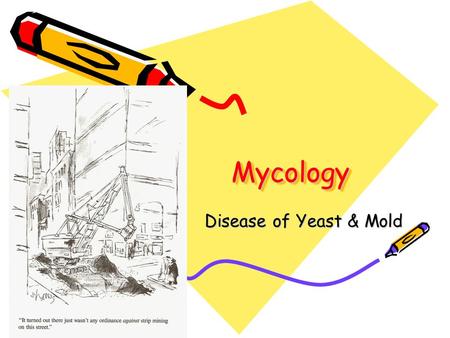 Mycology Disease of Yeast & Mold.