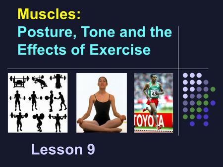 Muscles:  Posture, Tone and the Effects of Exercise