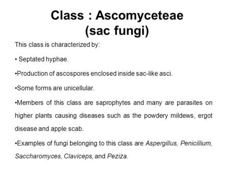 Class : Ascomyceteae (sac fungi)