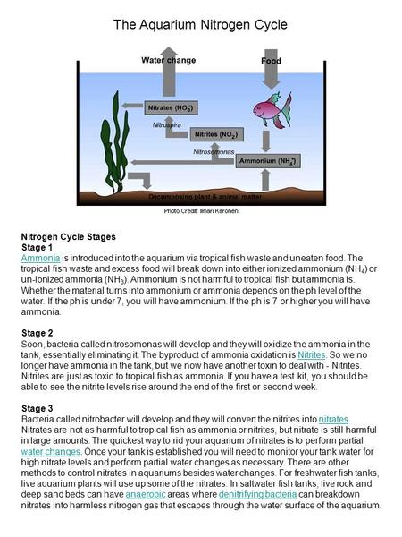 The Aquarium Nitrogen Cycle Nitrogen Cycle Stages Stage 1 Ammonia is introduced into the aquarium via tropical fish waste and uneaten food. The tropical.