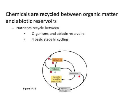 Chemicals are recycled between organic matter and abiotic reservoirs