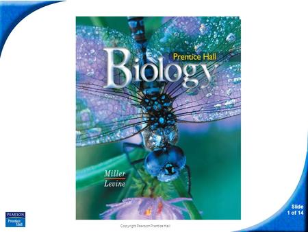 Slide 1 of 14 Copyright Pearson Prentice Hall Biology.