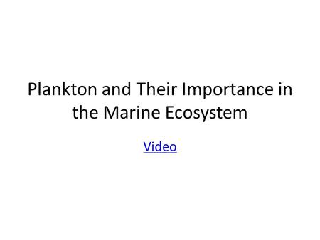 Plankton and Their Importance in the Marine Ecosystem Video.