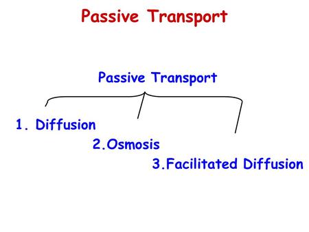Passive Transport 1. Diffusion 2.Osmosis 3.Facilitated Diffusion.