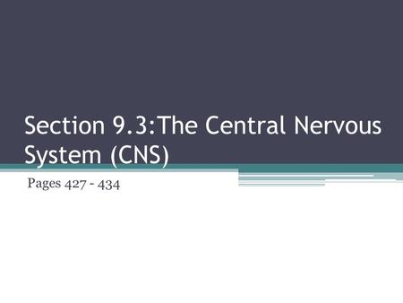 Section 9.3:The Central Nervous System (CNS)
