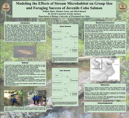 Modeling the Effects of Stream Microhabitat on Group Size and Foraging Success of Juvenile Coho Salmon William Hintz, Matthew Faust, and Mitch Banach Dr.