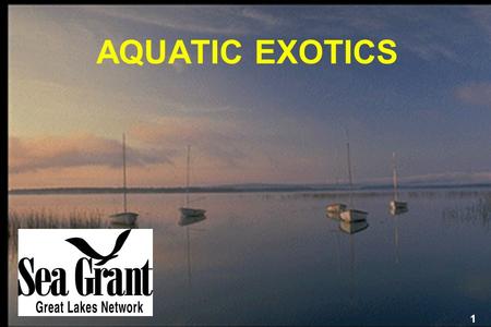AQUATIC EXOTICS Aquatic exotics are causing serious ecological and economic damage to our nation — damage that could be happening right in your own backyard.