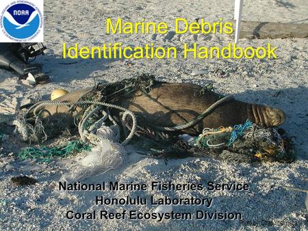 National Marine Fisheries Service Honolulu Laboratory Coral Reef Ecosystem Division Marine Debris Identification Handbook.