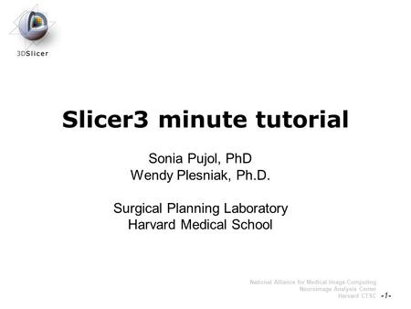 Pujol S., Plesniak, W. -1- National Alliance for Medical Image Computing Neuroimage Analysis Center Harvard CTSC Slicer3 minute tutorial Sonia Pujol, PhD.
