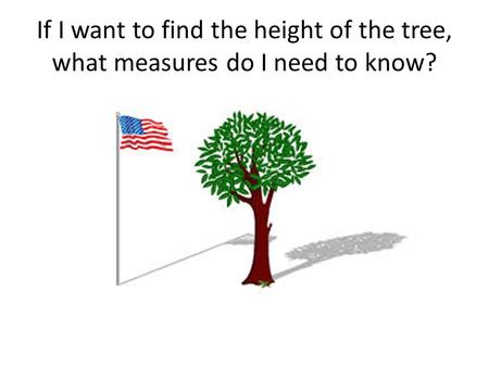 If I want to find the height of the tree, what measures do I need to know?