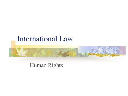 International Law Human Rights. Is there such a thing as certain natural, historical, fundamental rights of humans? Roosevelt’s Four Freedoms (1941) Speech.