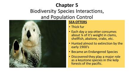 Chapter 5 Biodiversity Species Interactions, and Population Control SEA OTTERS Thick fur Each day a sea otter consumes about ¼ of it’s weight in clams,