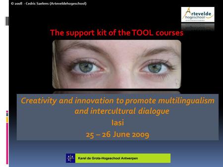 © 2008 - Cedric Saelens (Arteveldehogeschool) The support kit of the TOOL courses Creativity and innovation to promote multilingualism and intercultural.