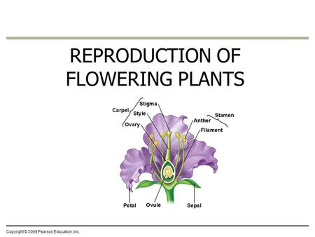 Copyright © 2009 Pearson Education, Inc. REPRODUCTION OF FLOWERING PLANTS.