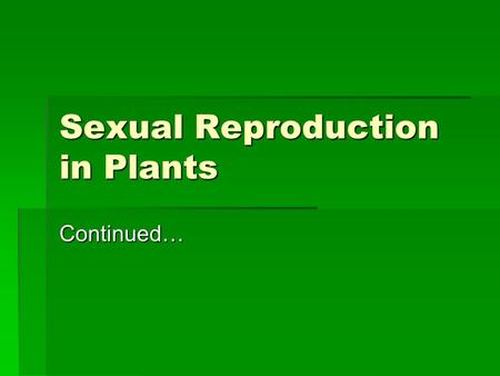 Sexual Reproduction in Plants Continued…. Pollination in Angiosperms  Before seeds can develop inside a flower, pollen grain from the anthers must reach.