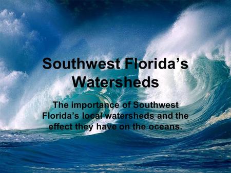 Southwest Florida’s Watersheds The importance of Southwest Florida’s local watersheds and the effect they have on the oceans.