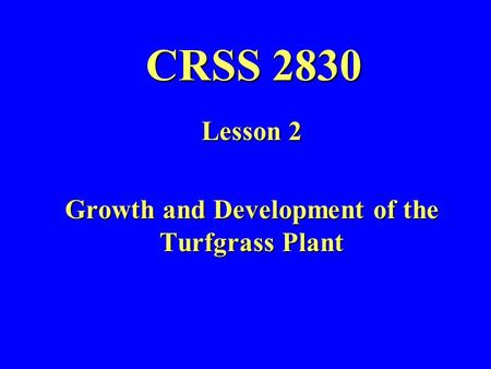 CRSS 2830 Lesson 2 Growth and Development of the Turfgrass Plant.