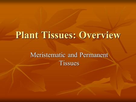 Plant Tissues: Overview Meristematic and Permanent Tissues.