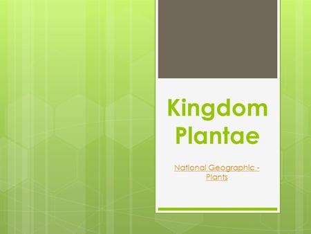 Kingdom Plantae National Geographic - Plants. Kingdom Plantae What are plants? most are autotrophs eukaryotic have cell walls containing cellulose mostly.