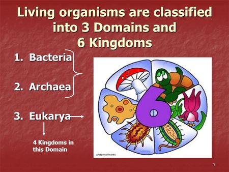 1 Living organisms are classified into 3 Domains and 6 Kingdoms 1.Bacteria 2.Archaea 3.Eukarya 4 Kingdoms in this Domain.