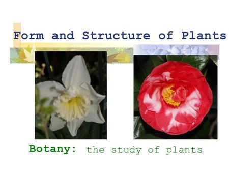 Form and Structure of Plants Botany: the study of plants.