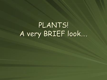 PLANTS! A very BRIEF look….. Question 1: What’s the difference between these MONOCOTS: –Have one seed leaf or a cotyledons –Smaller group DICOTS: –Have.