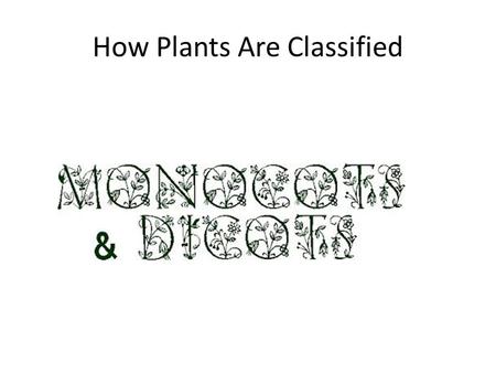 How Plants Are Classified