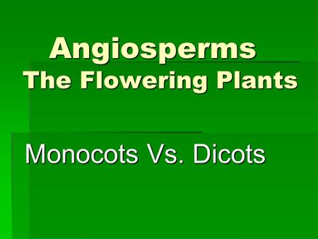 Angiosperms The Flowering Plants Monocots Vs. Dicots.