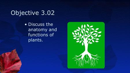 Objective 3.02 Discuss the anatomy and functions of plants.