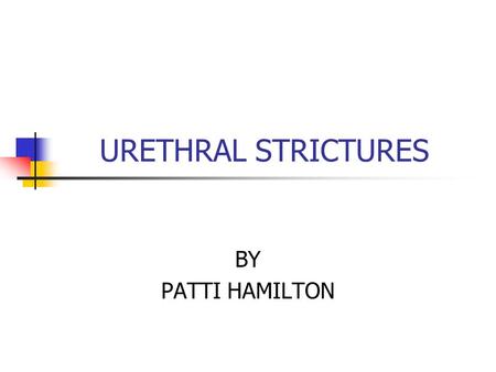 URETHRAL STRICTURES BY PATTI HAMILTON. What is a urethral stricture? A urethral stricture is a narrowing in any part of the urethra – the tube that drains.