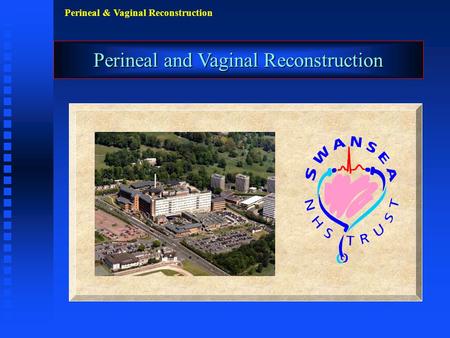 Perineal & Vaginal Reconstruction Perineal and Vaginal Reconstruction.