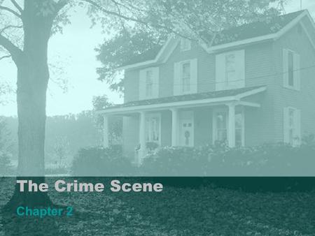 The Crime Scene Chapter 2.