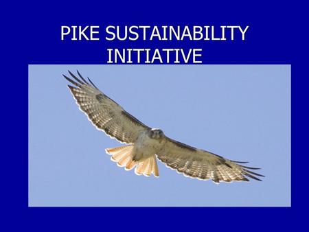 PIKE SUSTAINABILITY INITIATIVE. The Beginning…  1989: Pike announced that it would start to recycle paper  Fall 2007: Plastic recycling was added 